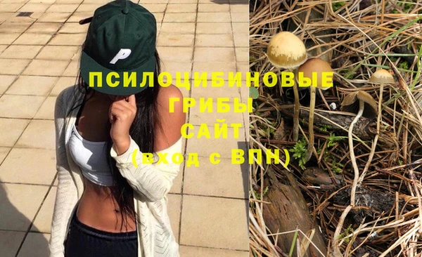дживик Россошь